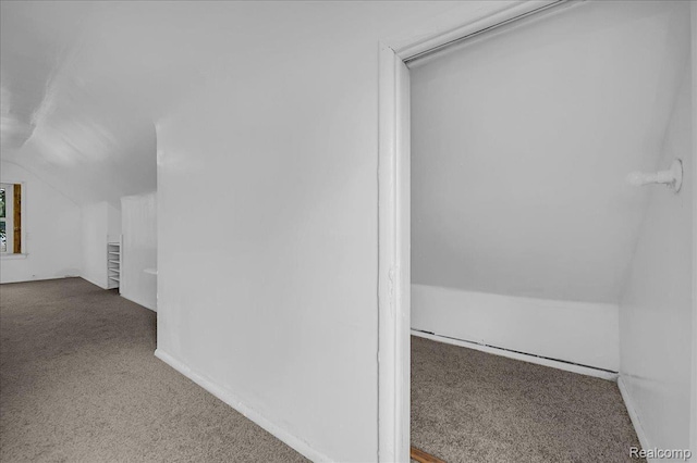 19966 Lindsay St, Detroit, MI 48235 - additional living space with carpet flooring and vaulted ceiling