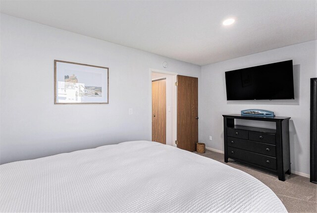 261 Black River St Unit C, South Haven, MI 49090 - photo 10