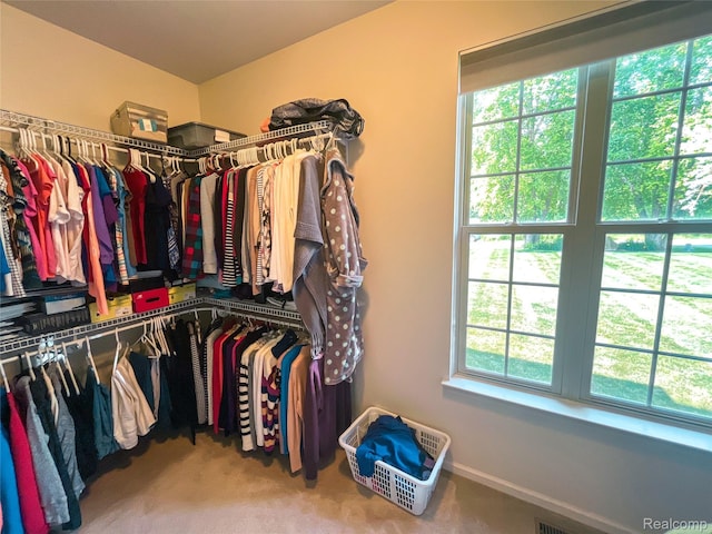 5580 Birch Ln, Davisburg, MI 48350 - walk in closet with carpet floors