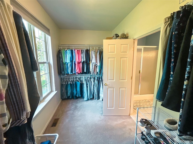 5580 Birch Ln, Davisburg, MI 48350 - walk in closet featuring carpet flooring
