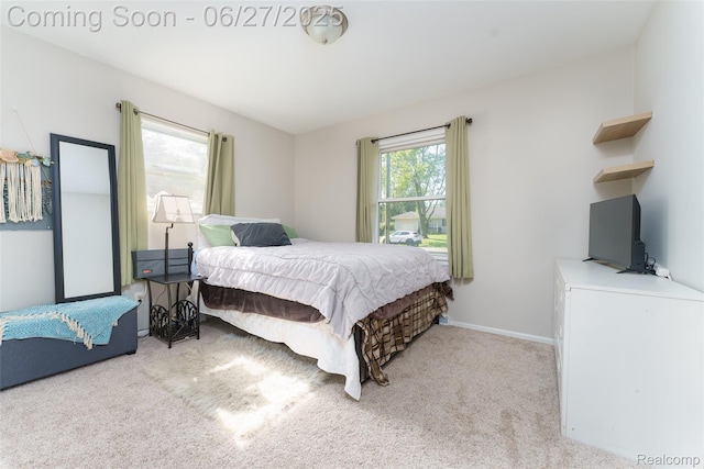 1192 Oakmont Dr, Temperance, MI 48182 - photo 11