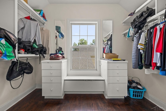 12449 Northway Pkwy, Freeland, MI 48623 - spacious closet featuring dark wood-style flooring and lofted ceiling