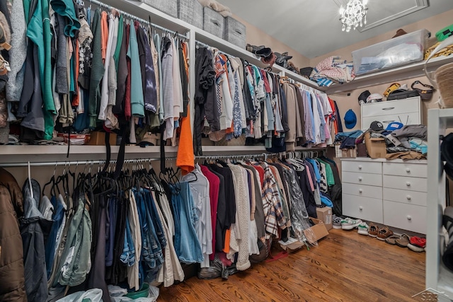 12449 Northway Pkwy, Freeland, MI 48623 - walk in closet with wood finished floors