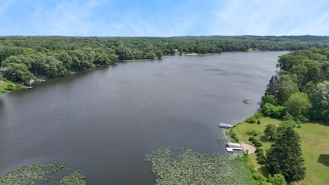 26794 Dutch Settlement St, Dowagiac, MI 49047 - bird's eye view of a nearby body of water