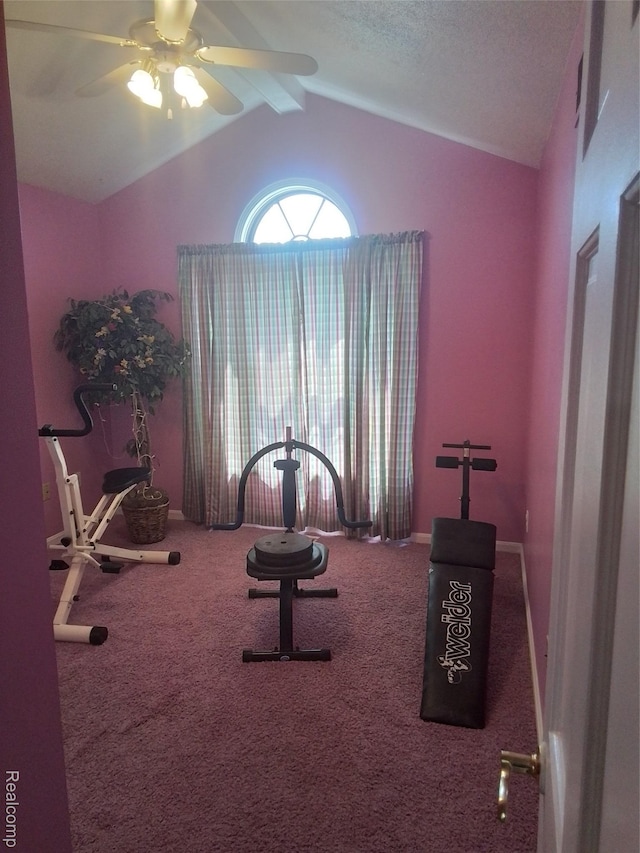 9472 Hill Rd, Swartz Creek, MI 48473 - exercise room featuring lofted ceiling, carpet flooring, and a ceiling fan
