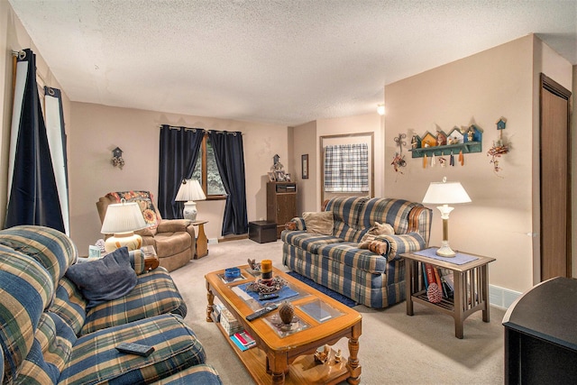 5100 Holton Duck Lake Rd, Twin Lake, MI 49457 - carpeted living area with a textured ceiling