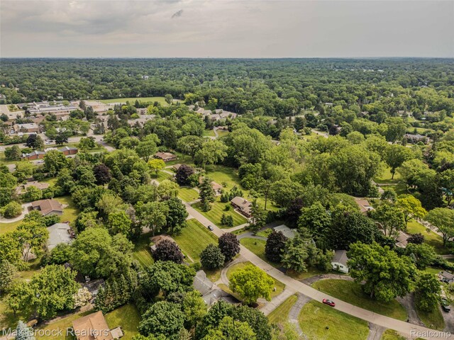 6730 Halyard Rd, Bloomfield Hills, MI 48301 - bird's eye view of a forest