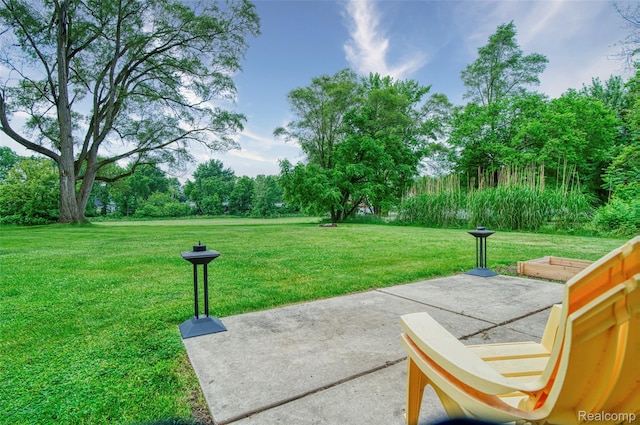 405 Garden Ln, Fowlerville, MI 48836 - view of green lawn with a patio and view of scattered trees