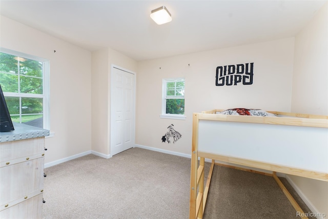 405 Garden Ln, Fowlerville, MI 48836 - bedroom with carpet flooring and a closet
