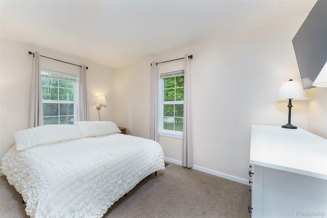 405 Garden Ln, Fowlerville, MI 48836 - carpeted bedroom featuring multiple windows