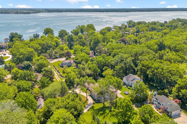 19580 Parke Ln, Grosse Ile, MI 48138 - photo 58