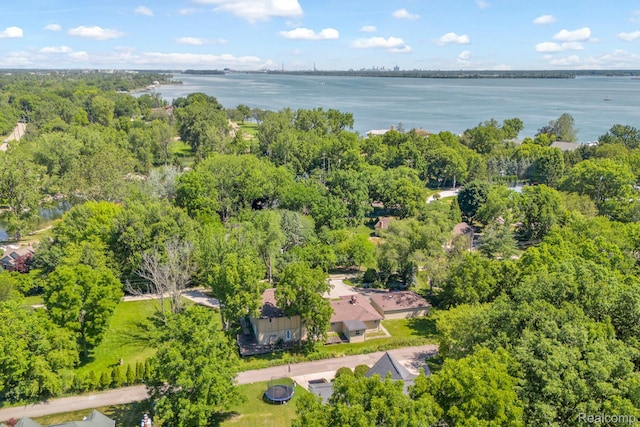 19580 Parke Ln, Grosse Ile, MI 48138 - photo 4