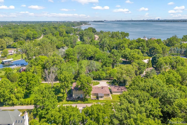 19580 Parke Ln, Grosse Ile, MI 48138 - photo 55