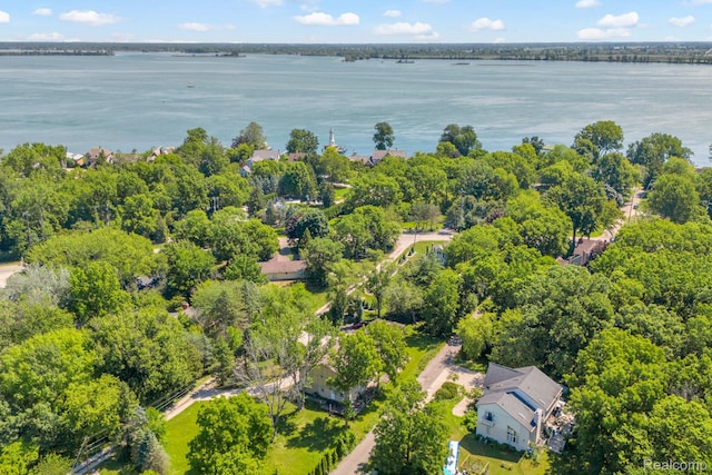 19580 Parke Ln, Grosse Ile, MI 48138 - photo 56