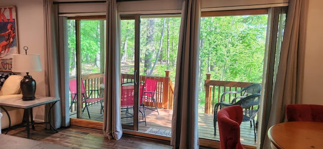 3400 Lakeside Dr S Unit 17, Petoskey, MI 49770 - entryway with wood finished floors and healthy amount of natural light