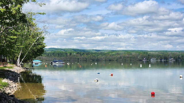 3400 Lakeside Dr S Unit 17, Petoskey, MI 49770 - water view featuring a forest
