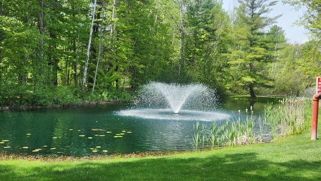 3400 Lakeside Dr S Unit 17, Petoskey, MI 49770 - water view with a forest