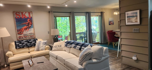 3400 Lakeside Dr S Unit 17, Petoskey, MI 49770 - living area featuring rail lighting, wood finished floors, and plenty of natural light