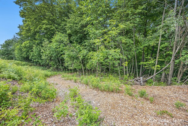 8035 Jericho Ave NE, Rockford, MI 49341 - view of nature