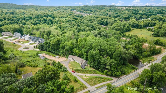 8035 Jericho Ave NE, Rockford, MI 49341 - aerial view of a forest