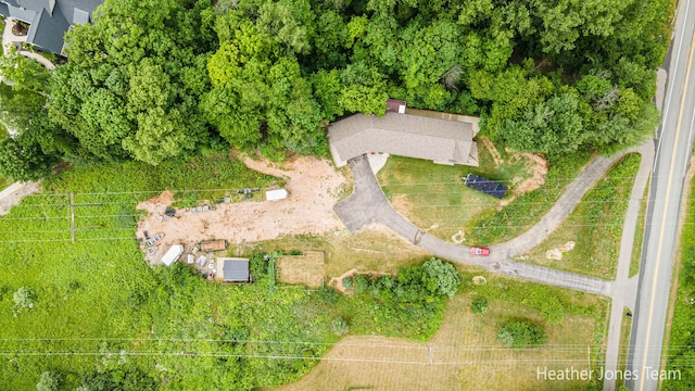 8035 Jericho Ave NE, Rockford, MI 49341 - bird's eye view