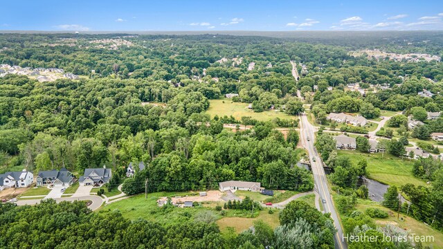 8035 Jericho Ave NE, Rockford, MI 49341 - drone / aerial view of a forest