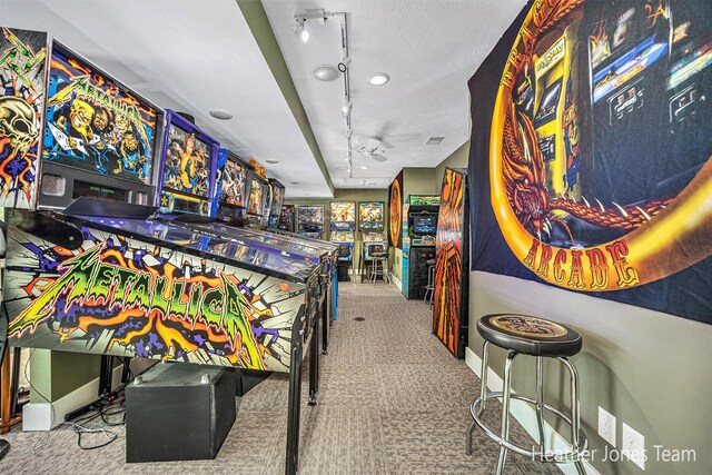 8035 Jericho Ave NE, Rockford, MI 49341 - game room with rail lighting and carpet floors