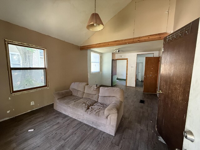 223 Washington Ave, Lakeview, MI 48850 - living room with wood finished floors and high vaulted ceiling
