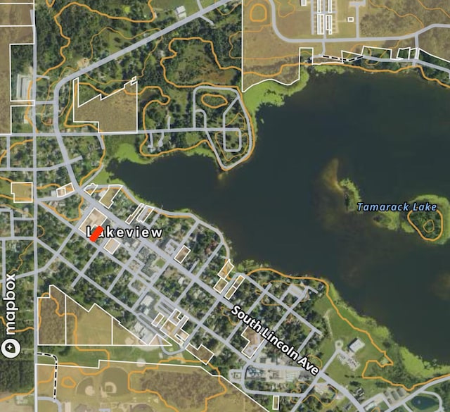 223 Washington Ave, Lakeview, MI 48850 - map / location