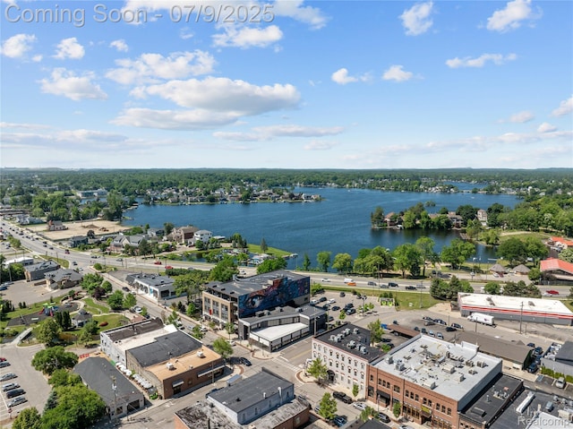108 Highland Ave, Lake Orion, MI 48362 - aerial view of a large body of water