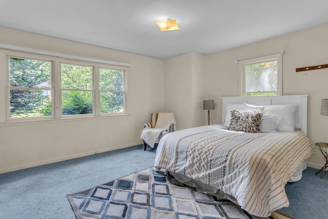 5951 Riverside Dr, Jackson, MI 49201 - bedroom featuring carpet floors