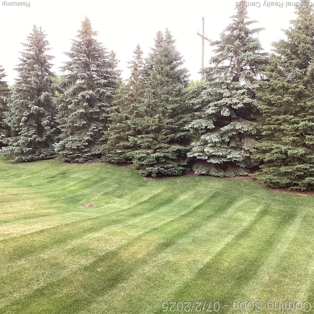 636 Zion Ct S, Howell, MI 48843 - view of green lawn
