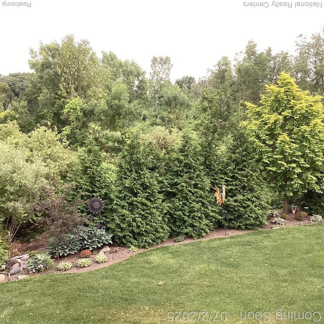636 Zion Ct S, Howell, MI 48843 - view of grassy yard