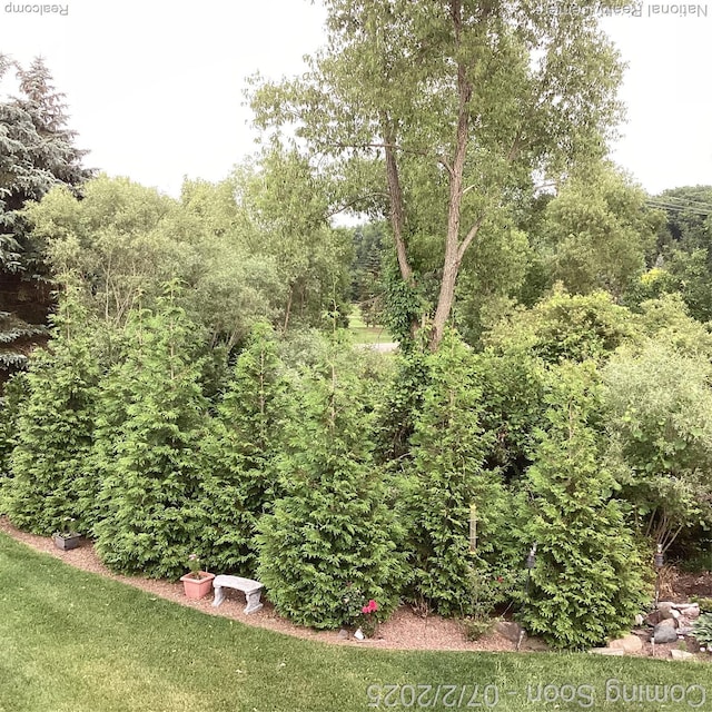 636 Zion Ct S, Howell, MI 48843 - view of yard