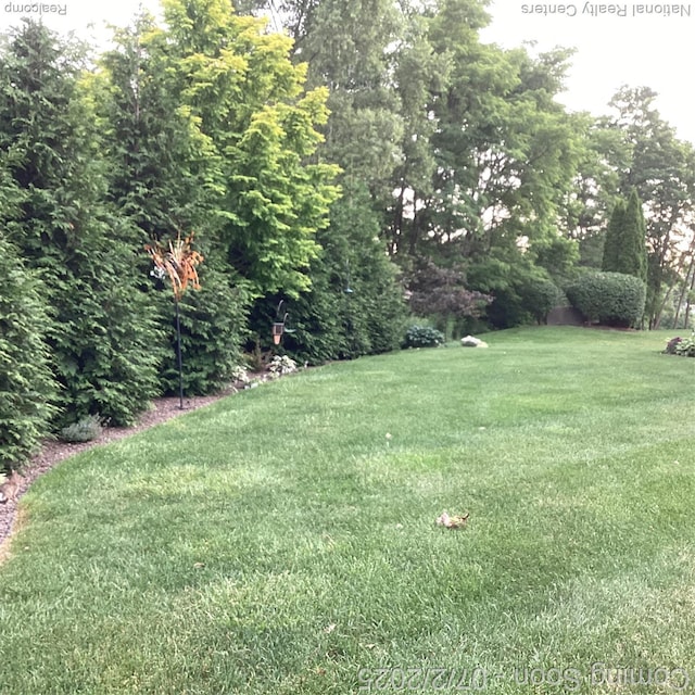 636 Zion Ct S, Howell, MI 48843 - view of green lawn
