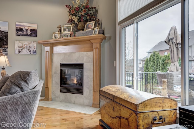 63705 Monticello E, Washington, MI 48095 - living room featuring wood finished floors and a fireplace