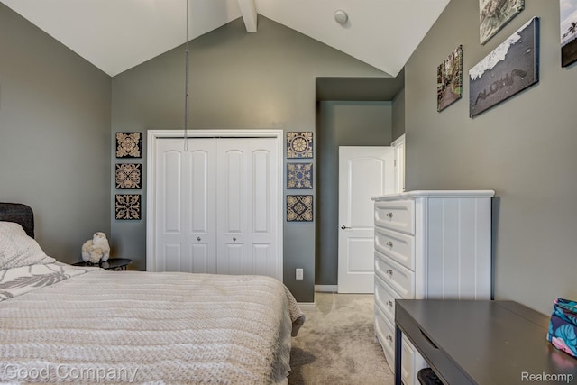 63705 Monticello E, Washington, MI 48095 - bedroom with light colored carpet, a closet, and high vaulted ceiling
