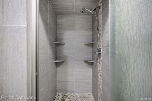 63705 Monticello E, Washington, MI 48095 - bathroom featuring a shower stall