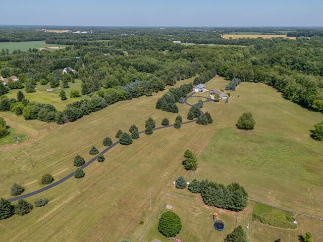 10303 S 34th St, Vicksburg, MI 49097 - photo 73