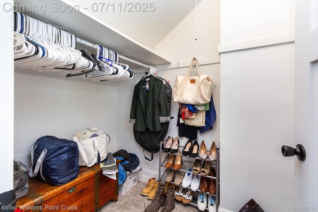 1424 Lakepointe St, Detroit, MI 48230 - spacious closet featuring carpet floors