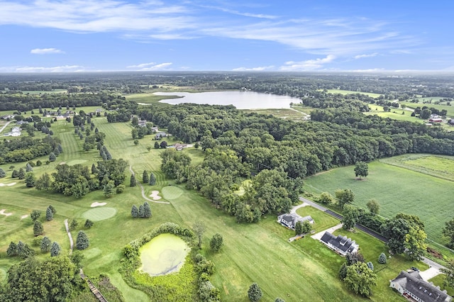 2807 Bartlett Rd, Pleasant Lake, MI 49272 - bird's eye view of a large body of water and a local golf course
