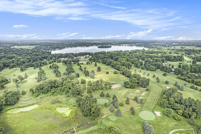 2807 Bartlett Rd, Pleasant Lake, MI 49272 - aerial view of a large body of water