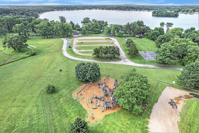 2807 Bartlett Rd, Pleasant Lake, MI 49272 - aerial view of a nearby body of water