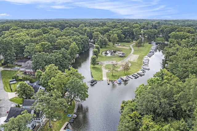 2807 Bartlett Rd, Pleasant Lake, MI 49272 - aerial overview of property's location with a large body of water and a heavily wooded area