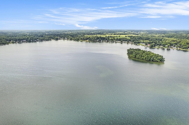 2807 Bartlett Rd, Pleasant Lake, MI 49272 - aerial view of a large body of water and a forest