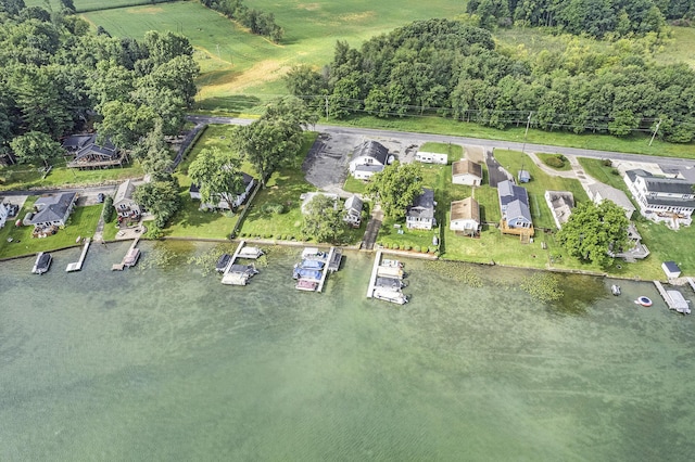 2807 Bartlett Rd, Pleasant Lake, MI 49272 - aerial view of property and surrounding area with a large body of water