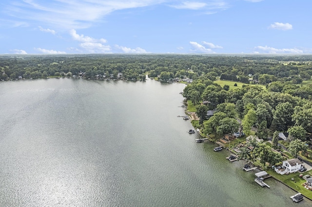 2807 Bartlett Rd, Pleasant Lake, MI 49272 - bird's eye view of a large body of water