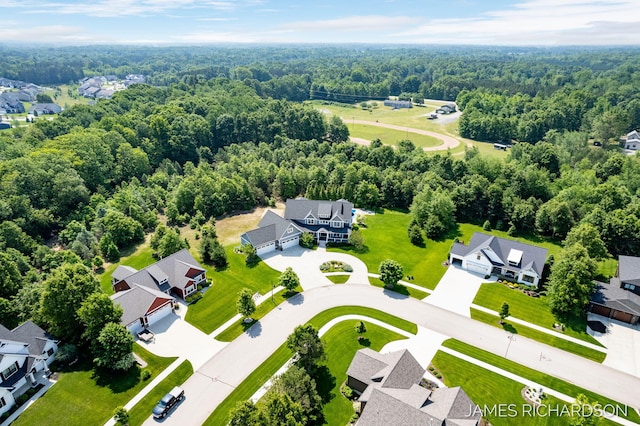 12974 Boulderway Trl, Grand Haven, MI 49417 - aerial perspective of suburban area with a heavily wooded area