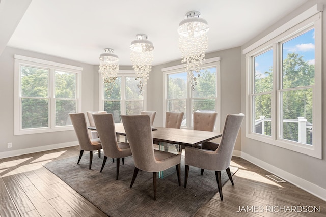 12974 Boulderway Trl, Grand Haven, MI 49417 - dining room featuring a chandelier, plenty of natural light, and wood finished floors