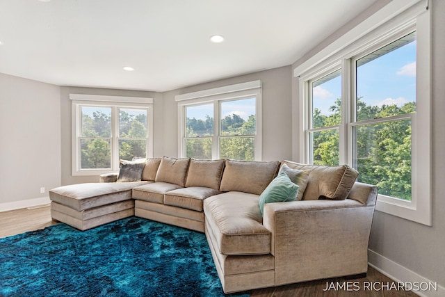 12974 Boulderway Trl, Grand Haven, MI 49417 - living room with plenty of natural light, recessed lighting, and wood finished floors